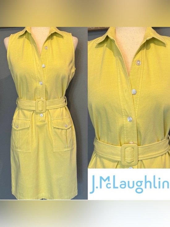 J. McLaughlin Dresses & Skirts - J.McLaughlin Sleeveless Belted Dress